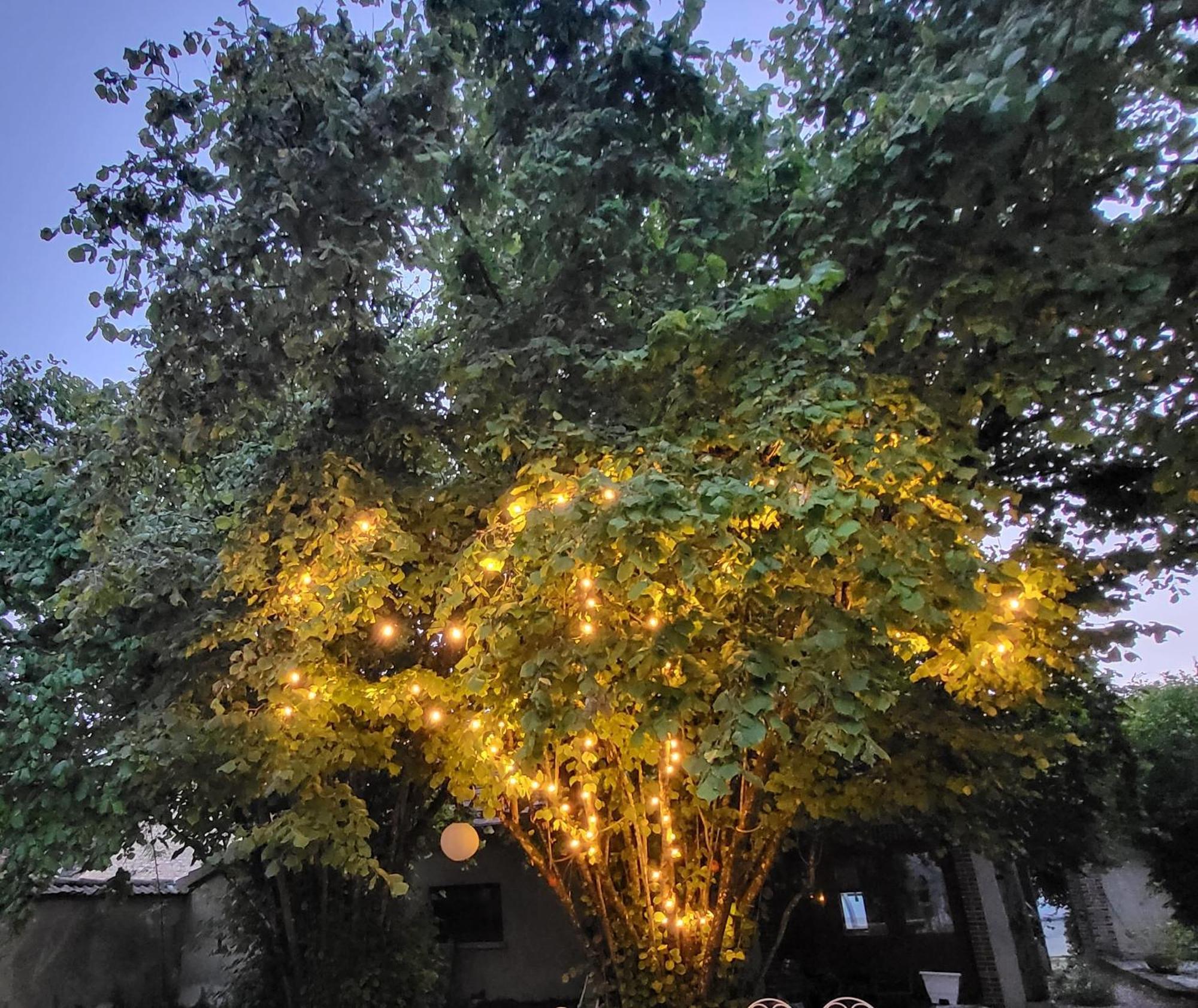 La Demeure D'Othe Bed & Breakfast Sormery Dış mekan fotoğraf
